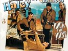 Bill Haley & His Comets - Rock The Joint - VINYL LP VP80739