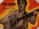 Elvis Presley - Il Re Del Rock N Roll VINYL LP AR013