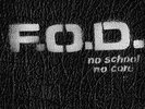 Flag of Democracy - No School No Core [New Vinyl LP]