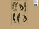 Normal Brain - Lady Maid 4251648410997 (Vinyl Used Very Good)