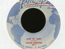 HAYDEN THOMPSON Love My Baby on Phillips Rockabilly 45 Hear
