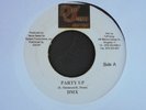 DMX Party Up DEJ JAM Rap Hip Hop + Jamaica 45 HEAR