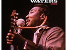 Muddy Waters - At Newport 1960 [New Vinyl LP] 180 Gram, UK - Import