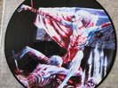 Cannibal Corpse - Tomb Of The Mutilated Anniversary Picture Disc Vinyl Lp Rare