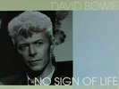 David Bowie - No Sign Of Life Montreal Forum 1983 180g Colour Vinyl Record