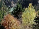 Pole - Wald (Vinyl Used Very Good)