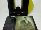 Opeth - Watershed Vinyl Record LP Green & Yellow Marbled Variant