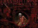 CANNIBAL CORPSE: TORTURE (LP vinyl *BRAND NEW*)