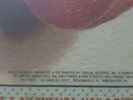 Pink floyd Vinyl Relics Album