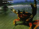 The Prodigy : The Fat of the Land VINYL 12