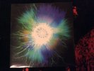 Coil Winter Solstice - A White Rainbow - Christmas is drawing near