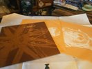 Orbital - Orbital (brown) - orig.1993  vinyl 2LP (Internal TRULP2) EX condition