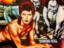 David Bowie - Diamond Dogs - LP Vinyl - New