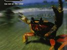 2LP THE PRODIGY THE FAT OF THE LAND VINYL