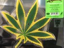 Cheech And Chong Up In Smoke 7