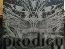 The Prodigy - Charly - Vinyl Record 12