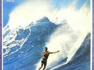 BATTLE OF THE SURFGUITARS #2 Surf Guitar Instro STARFIRES,VIBRASONICS Rare NM LP