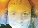RILEY, Terry - A Rainbow In Curved Air (50th Anniversary Edition) - Vinyl (LP)