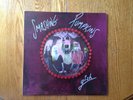 The Smashing Pumpkins GISH vinyl UK REISSUE REMASTERED 1994