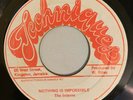 INTERNS ( VICEROYS ) - NOTHING IS IMPOSSIBLE - TECHNIQUES ( ROOTS 7 )