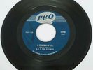 1967 Canada Garage Rock MG and The Escorts Someday Fool 45 rpm Record Fuzz Psych