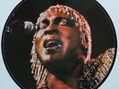 LP 33T Sylvester  