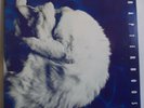 CHAPTERHOUSE Whirlpool - Original UK LP - Indie Shoegaze Slowdive Cocteau Twins
