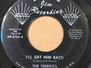 northern soul 45 THE TERRIFICS I'll Get Him Back / We're So Young   Diamond Jim
