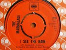 MARMALADE - I SEE THE RAIN - CBS
