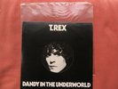 T.Rex - Dandy In The Underworld - 1st Press 1977 BLN5005 UK