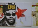 TOOTS & THE MAYTALS True Love UK vinyl 2-LP NEW/UNPLAYED Terry Hall Skatalites