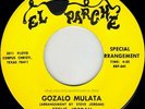 rare PRIVATE texas LATIN CHICANO psych soul funk 45 STEVE JORDAN gozalo mulata