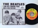 The Beatles - I Want To Hold Your Hand - Capitol 1964 Picture Sleeve 45