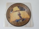 UK Picture Disc 45 Jethro Tull -Fallen On Hard Times / Broadsword 1982 EX+