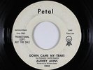 Northern Soul 45 - Audrey Akins - Down Came My Tears - Petal - mp3