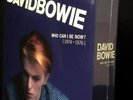 DAVID BOWIE Who Can I Be Now 1974-1976 13LP Vinyl NEW sealed MINT