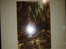 Van Morrison Tupelo Honey Vinyl LP 1973 Pressing NM-/NM- WS 1950