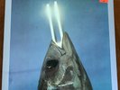 REO SPEEDWAGON, YOU CAN TUNE A PIANO, BUT YOU CAN'T TUNA FISH, STILL SEALED