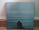 FOALS WHAT WENT DOWN Limited Edition 12” LP Vinyl New