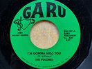 SOUL GROUP 45:  VOLUMES I’m Gonna Miss You/I’ve Never Been So Much In Love GARU