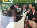 The Beach Boys - Pet Sounds Vg stereo vinyl LP Capitol Original