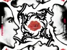 Red Hot Chilli Peppers - Blood, Sugar, Sex, Magic  12
