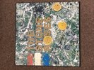 The Stone Roses LP Vinyl First Album - 180g