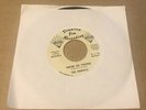 northern soul 45 THE TERRIFICS I'll Get Him Back / We're So Young   Diamond Jim