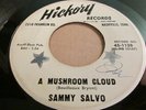 N. SOUL  TEEN POPCORN - SAMMY SALVO - A MUSHROOM CLOUD - DON'T CAST YOUR SPELL
