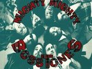 MIGHTY MIGHTY BOSSTONES, The - Don't Know How To Party - Vinyl (LP)