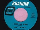 Ray Agee 