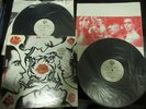 Red Hot Chili Peppers Sugar Blood Sex Magik DBL Vinyl LP Signed Copy Frusciante
