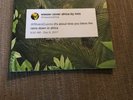 WEEZER RARE AFRICA Green VINYL 7” Record New Sealed Single Teal Rsd Album 45