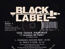 THE LUNA PROJECT - I WANNA BE FREE 12” Rare New York House Classic 1993 / audio